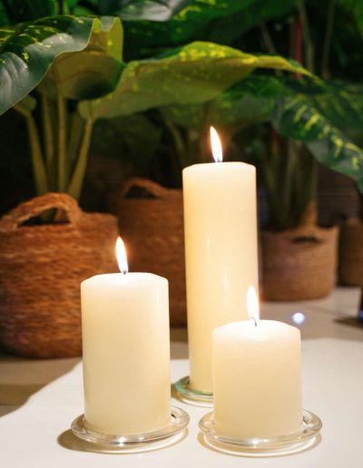 DSC03869 400x516 - Gallery